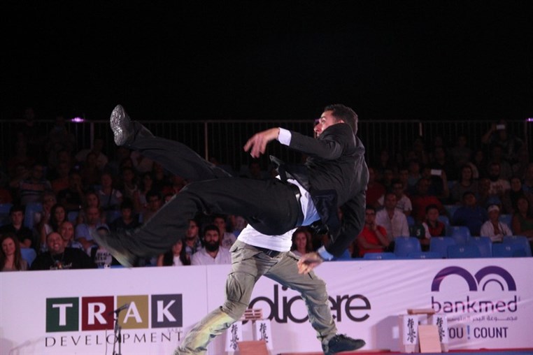 Martial Arts Festival